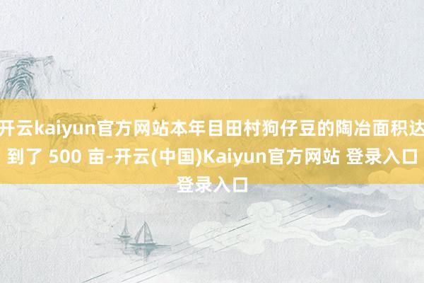 开云kaiyun官方网站本年目田村狗仔豆的陶冶面积达到了 500 亩-开云(中国)Kaiyun官方网站 登录入口